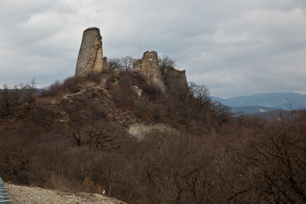 Ujarma